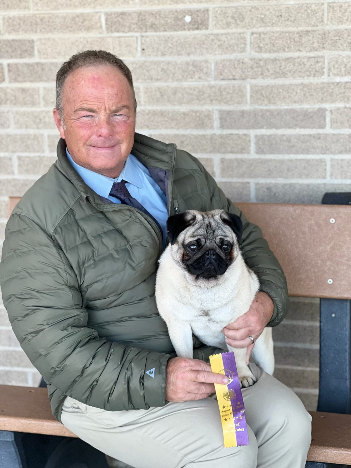 Photo of GCH Casa Blanca’s Supernova, a Fawn Pug.