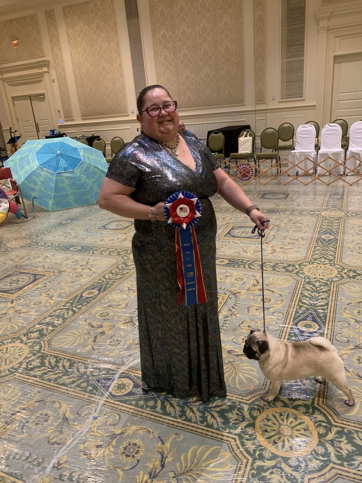 Photo of GCHS Andi Gotta Catch ‘Em All, a Fawn Pug.